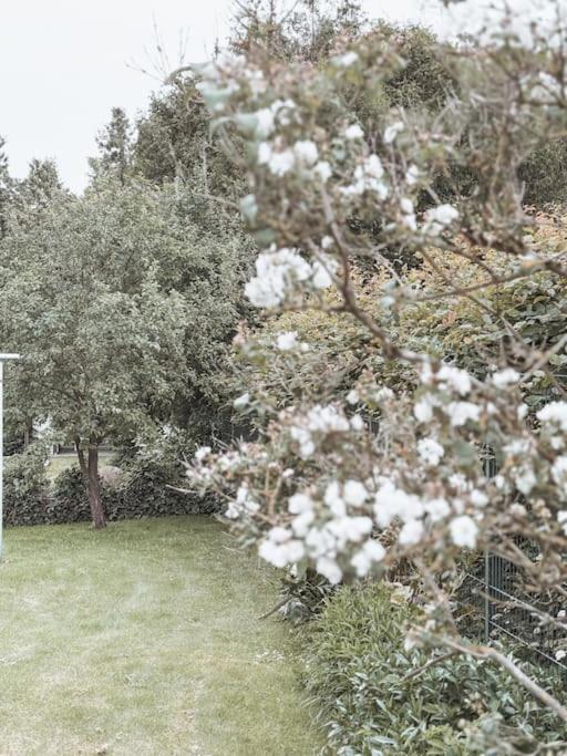 Auszeit - Detmold Daire Dış mekan fotoğraf